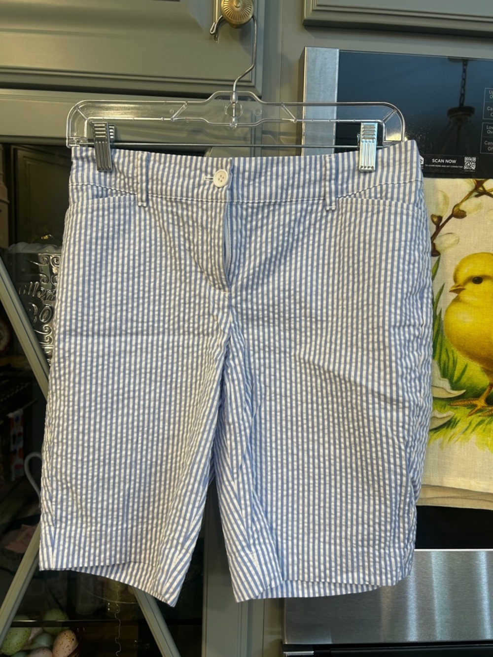 Talbots Blue and White Seersucker Women’s Shorts